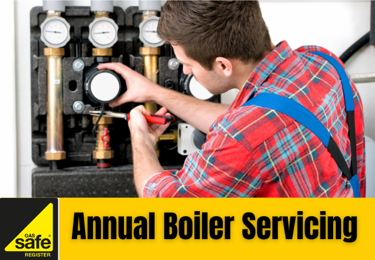annual boiler servicing Ashford