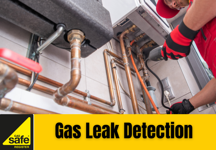 gas leak detection Ashford